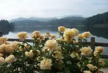 Photograph of Lagoalinda Inn, Lake Junaluska