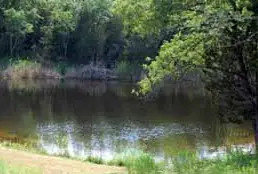 Photograph of Cabins In Warren Woods, Davis