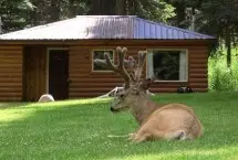 Photograph of Park At The River Deluxe RV Park, Joseph