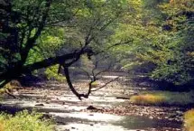 Photograph of Deer Meadow Campground, Cooksburg