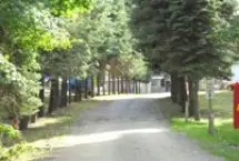 Photograph of Pine Lane Campground, East Springfield