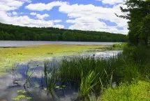 Photograph of Three Pines Campground, Lakeville