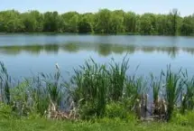 Photograph of Cooper's Lake Campground, Slippery Rock