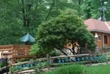 Photograph of Shangri-La on the Creek, Milton