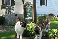Photograph of Bed & Breakfast of Jackson Run, Punxsutawney