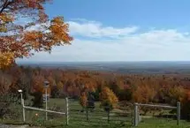 Photograph of Berry Fields Farm, New Albany