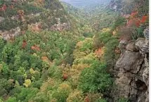 Photograph of Cloudland Canyon State Park, Trenton