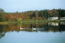 Photograph of Timber Creek RV Resort, Westerly