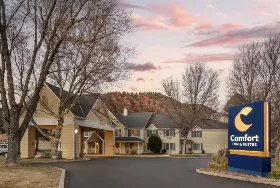 Photograph of Comfort Inn, Carbondale