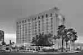 Photograph of Hotel Alba Tampa, Tapestry Collection by Hilton, Tampa