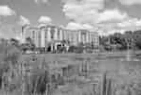 Photograph of Hampton Inn, Tampa
