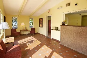 Photograph of Super 8, Lantana