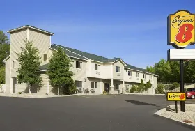 Photograph of Super 8, Salmon