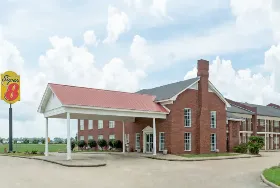Photograph of Super 8, Tallulah