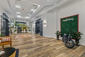 Photograph of Mulberry, Vicksburg