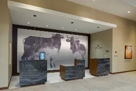 Photograph of Durham Marriott City Center, Durham