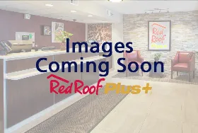 Photograph of Red Roof PLUS+, Brooklyn