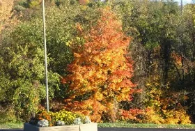 Photograph of Washington / Pittsburgh SW KOA, Washington