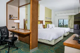 Photograph of SpringHill Suites, Mt Pleasant