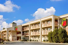 Photograph of Super 8, Hermitage