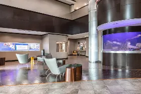 Photograph of SpringHill Suites, Woodway