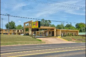 Photograph of Super 8, Palestine