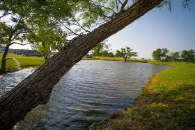 Photograph of Sanger / Denton North KOA, Sanger