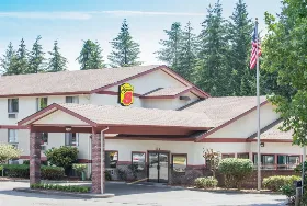 Photograph of Super 8, Lacey