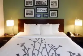 Photograph of Sleep Inn, Evergreen