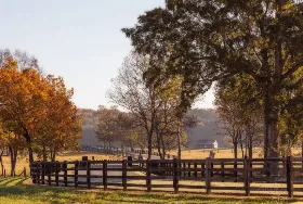 Photograph of The Resort At Pursell Farms, Sylacauga