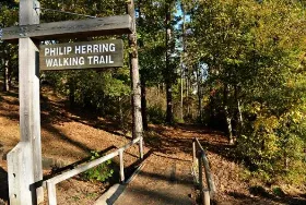 Photograph of Sherling Lake Park & Campground, Greenville