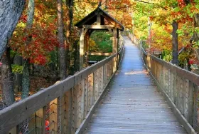 Photograph of Cheaha State Park, Delta
