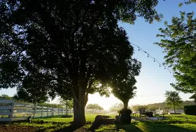 Photograph of 3c Ranch, Oracle