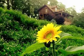 Photograph of A Lazee Daze In The Ozarks, Eureka Springs