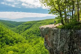 Photograph of St. Francis National Forest, Marianna