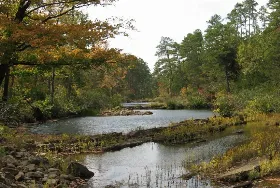 Photograph of Knoppers Ford Recreation Area & Campground, Booneville