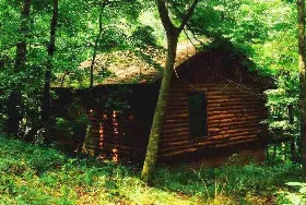 Photograph of A Lazee Daze In The Ozarks, Eureka Springs