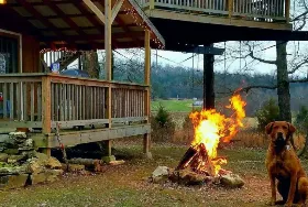 Photograph of Shady River Getaway, Pocahontas