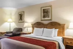 Photograph of Comfort Inn, Three Rivers