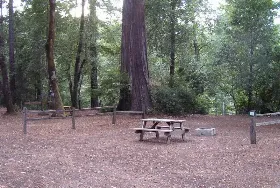 Photograph of Redwoods River Resort & Campground, Leggett