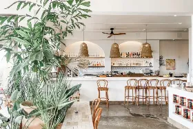 Photograph of Fig Tree Cafe, Venice