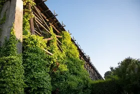 Photograph of Trestles Restaurant, Capitola