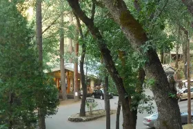 Photograph of Cafe At The Bug, Midpines