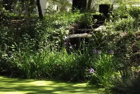 Photograph of Backyard Garden Oasis, Middletown