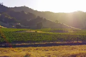 Photograph of Rustridge Ranch / Winery & Inn, Saint Helena