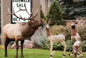 Photograph of Quality Inn, Estes Park