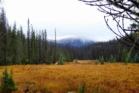 Photograph of Crazy Horse Outfitters, Pagosa Springs