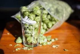 Photograph of Shoes And Brews, Longmont