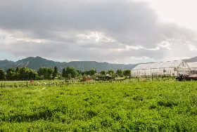Photograph of Growing Gardens Of Boulder County, Boulder