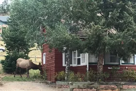Photograph of Colorado Cottages, Estes Park